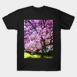 Spring - Magnificant Magnolia T-Shirt